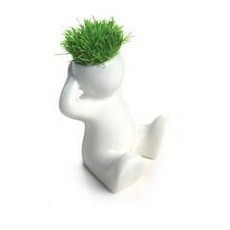 Kleng Grask&auml;pp (8 Stk.)
