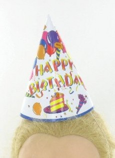 PARTY HUTT (12 Stk.)
