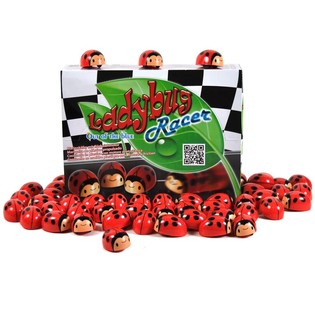 FRICTIOUN MARIECKECHEN A DISPLAY (36 Stk.)