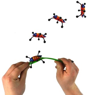SMIFFY'S INSEKTEN WALL WALKER (72 Stk.)