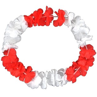 Hawaii-Kr&auml;nz Rout/W&auml;iss (50 St.)