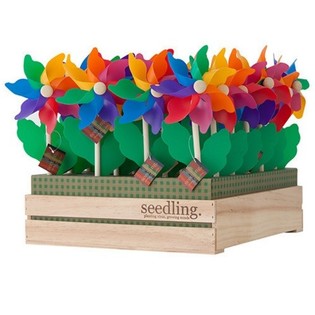 SEEDLING - WINDMILLEN AN DER DISPLAY (20 Stk.)