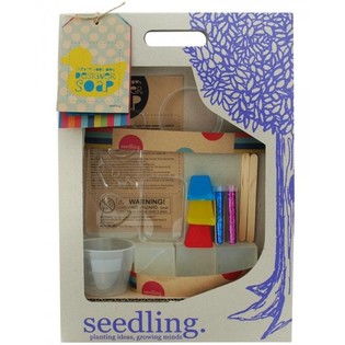 Seedling DIY-Set - Design deng eege Seef
