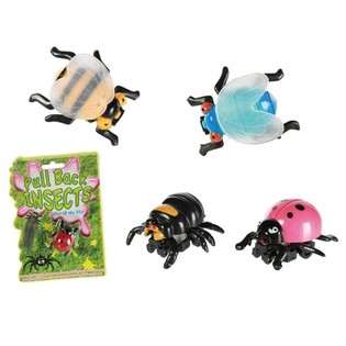 Reif-Insekten op Kaart (24 Stck.)
