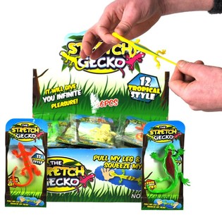 Stretchy Eidechs am Display (36 Stk.)
